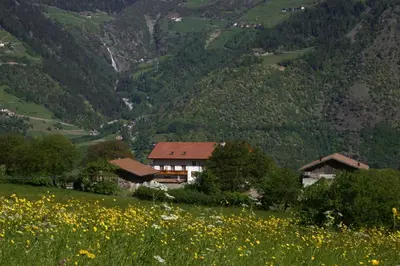 a house on a hill with a field of flowers at Niederhof in Parcines