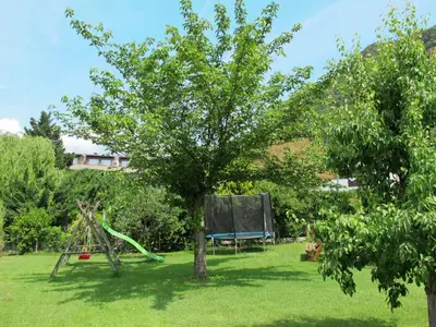 a tree in the middle of a yard with a swing at Apartment Bellavista by Interhome in Postal