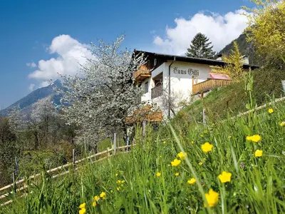 a building on a hill with a field of flowers at Haus Gilli in Lagundo