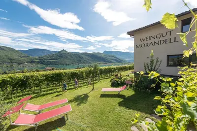 a sign for the vineyard at a winery with benches at Weingut Morandell in Caldaro