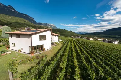 a house in the middle of a vineyard at Weingut Morandell in Caldaro