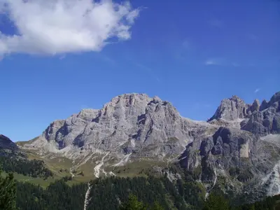 a large mountain with trees in front of it at Casa Angela in Predazzo