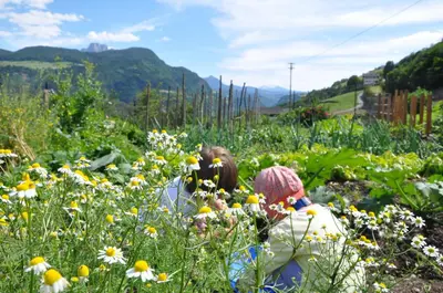 two children are sitting in a field of flowers at Planatscherhof in Barbiano