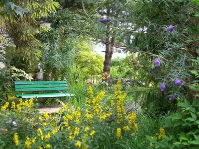 a green park bench in a garden with flowers at Burggräflerhof in Lana