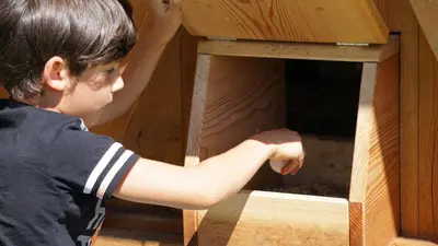 a young boy is constructing a bird house at Alpegger in Terento