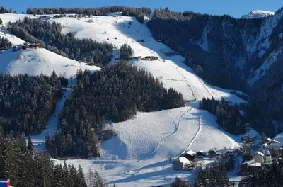 a snow covered mountain with trees and a ski slope at Pradel Dolomites in San Martino in Badia