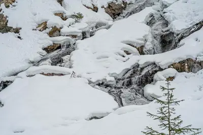 a mountain covered in snow with a tree at Ospitalità Diffusa Laste Dolomites - Cèsa Murer in Pallua
