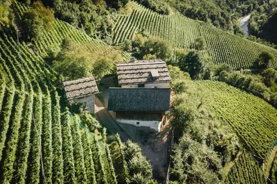 an aerial view of a house in the middle of a vineyard at Grottnerhof in Fiè