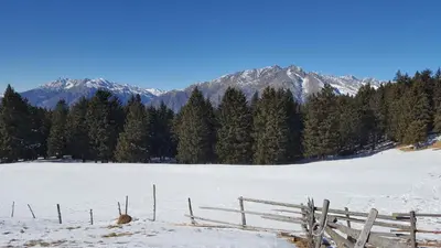 a fence in a snowy field with trees and mountains at SonnenApartment in Lana