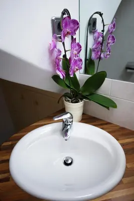 a white bathroom sink with a vase of purple flowers at Villa Schmalzl in Ortisei