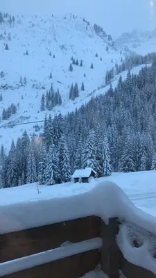 a fence covered in snow with trees and a mountain at Sunny Arabba Apartment in Arabba