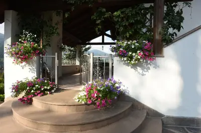 a stairway with flowers in potted plants on a building at B&B Magiré in Tesero