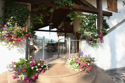 a balcony with flowers in pots on a building at B&B Magiré in Tesero