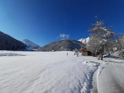 a snow covered field with a tree and mountains at Bruggerhof Prags in Braies
