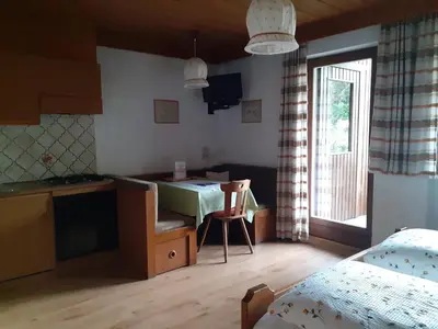 a room with a kitchen and a bed and a table at Residence Rienz in Chienes