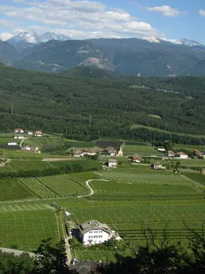 a village in a vineyard with mountains in the background at Rebhof Kaltern in Caldaro