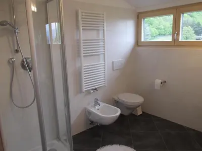 a bathroom with a toilet and a shower and a sink at Rebhof Kaltern in Caldaro