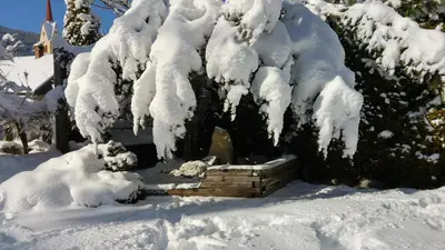a log cabin in the snow with snow covered trees at B&B Haus Grüner in Valdaora