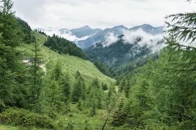 a view of a valley with trees and mountains at Gasthaus Furlhütte in Vipiteno
