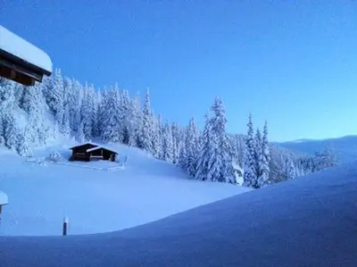 a cabin on a snow covered slope with trees at Gasthaus Furlhütte in Vipiteno