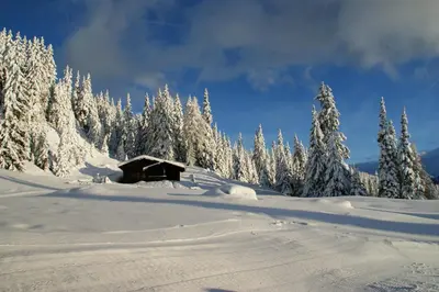 a cabin in the snow next to a group of trees at Gasthaus Furlhütte in Vipiteno