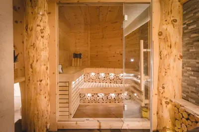 a sauna with wooden walls and a glass door at Wegscheiderhof in Feldthurns