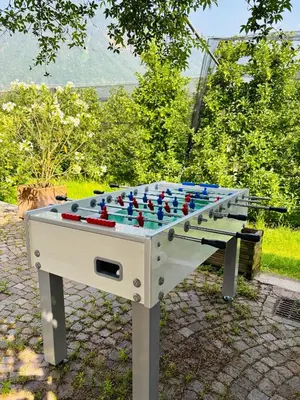 a garden with a chair and an apple tree at Haus Wiesenstein in Lana