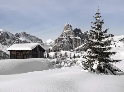 a snow covered pine tree in front of a mountain at Hotel Marianna in Rocca Pietore