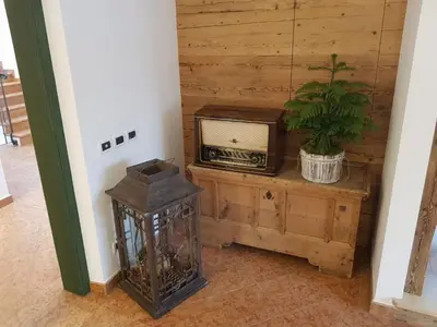 a room with a tv and a plant on a table at Ciasa Verena in Corvara in Badia