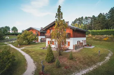 a house with a tree in the middle of a yard at Pineta Natural Chalet in Coredo