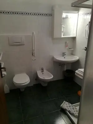 a bathroom with a toilet and a sink at Agritur le Vale in Fiera di Primiero