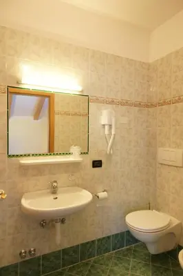 a bathroom with a sink and a toilet and a mirror at Berg Hotel Latemar Spitze in Vigo di Fassa