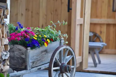 a wooden cart filled with colorful flowers in it at Ciasa Pedaga in San Vigilio Di Marebbe