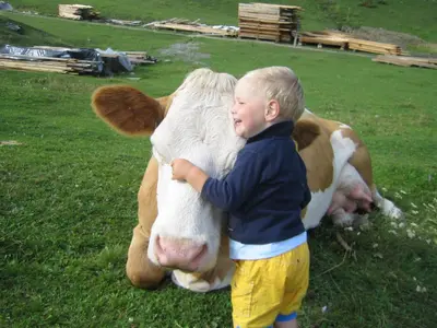 a young boy is standing next to a cow at Sumaela Apartments in La Valle