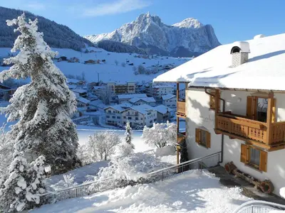 a house in the snow with a christmas tree at Appartements Plattnerhof in Castelrotto