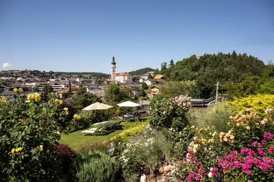 a view of a city from a garden with flowers at Appartements Plattnerhof in Castelrotto