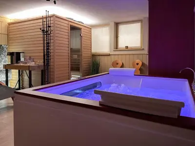 a large jacuzzi tub in a living room at Hotel Garni Edy in Daiano