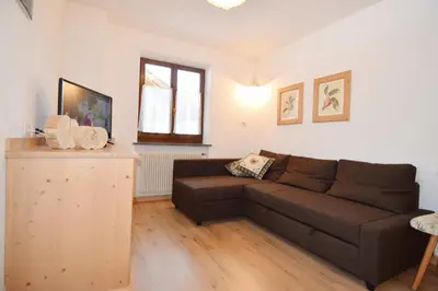 a living room with a brown couch and a window at Aliza in Campitello di Fassa