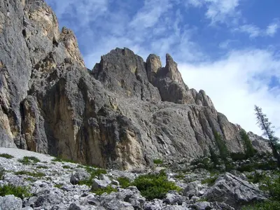 a rocky mountain with a tree in front of it at Rifugio Monti Pallidi in Canazei