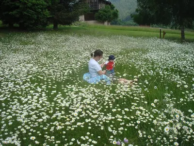a woman and a child sitting in a field of flowers at Hotel Serenella in Canale San Bovo