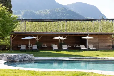 a pool with chairs and umbrellas next to a building at Hotel Burggräflerhof in Merano