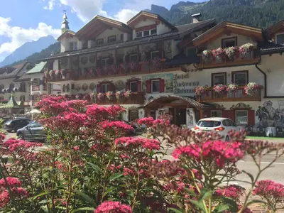 a large building with pink flowers in front of it at Hotel B&B Andreas in Canazei