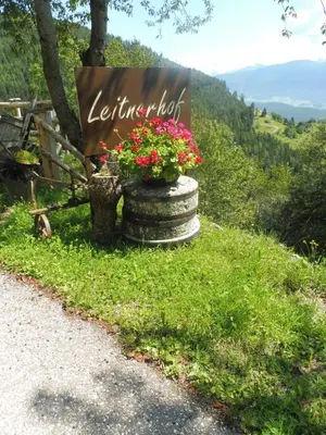 a sign on a stump with flowers on a road at Leitnerhof in Terento