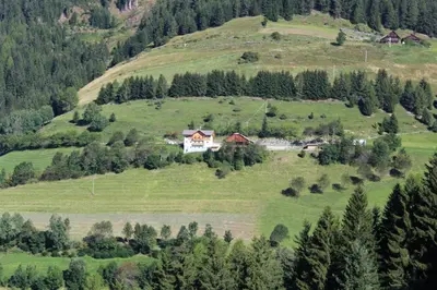 a house on top of a green hill with trees at Leitnerhof in Terento