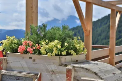 a wooden box filled with flowers on a table at Familyparadies GAMPLALM in Lana