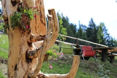 a wooden tree stump with plants on it at Familyparadies GAMPLALM in Lana