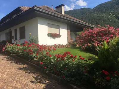 a house with flowers in front of it at Weingut Zundlhof in Bolzano