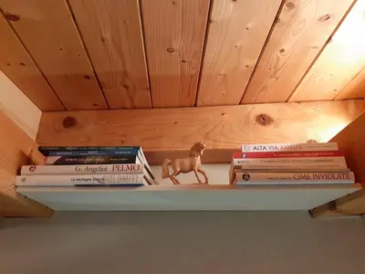 a shelf with books and a toy dog on it at Telemark Mountain Rooms in Agordo