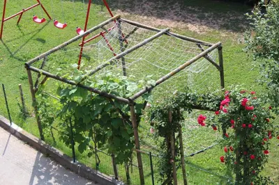 a garden with red roses on a fence at Appartamento Widmann in Coredo