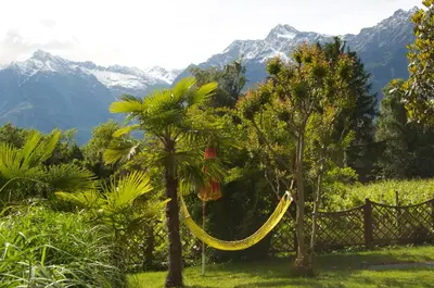 a hammock between two trees with mountains in the background at Hotel Schönbrunn in Merano